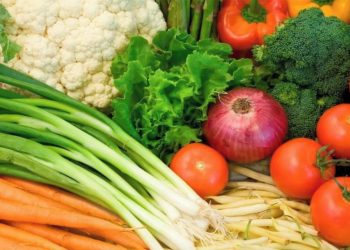 regras alimentação saudável