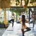 O que retiros espirituais podem fazer pela sua saúde? | YogaLounge