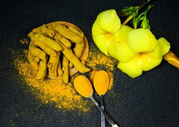 Webinars de Ayurveda | YogaLounge