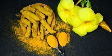 Webinars de Ayurveda | YogaLounge