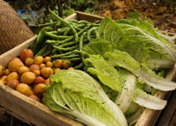 Uma caixa de madeira cheia de vegetais frescos, incluindo vagens, batatas pequenas e repolho chinês, fica ao ar livre, com terra e uma cesta de vime visíveis ao fundo. Health Coaching | YogaLounge