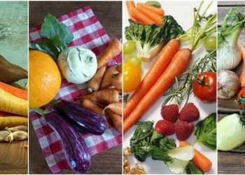 Quatro painéis exibem a balança Alimentar Portuguesa com vegetais frescos variados em várias superfícies, inspirados na Balança Alimentar Portuguesa, incluindo cenouras, tomates, berinjelas, pimentões, cebolas, batatas doces, abóboras e verduras em grupos vibrantes. | YogaLounge