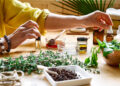 Uma pessoa de camisa amarela prepara remédios naturais, cercada por frascos de óleos, ervas, uma tigela de verduras frescas, uma colher de pau e pequenos frascos com conta-gotas em uma mesa de madeira. | YogaLounge