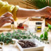 Uma pessoa de camisa amarela prepara remédios naturais, cercada por frascos de óleos, ervas, uma tigela de verduras frescas, uma colher de pau e pequenos frascos com conta-gotas em uma mesa de madeira. | YogaLounge