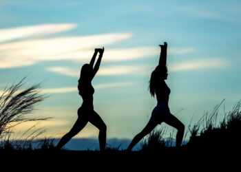 Duas pessoas estão em silhueta contra um céu azul e amarelo, praticando ioga ou poses de alongamento ao ar livre entre a grama alta. | YogaLounge